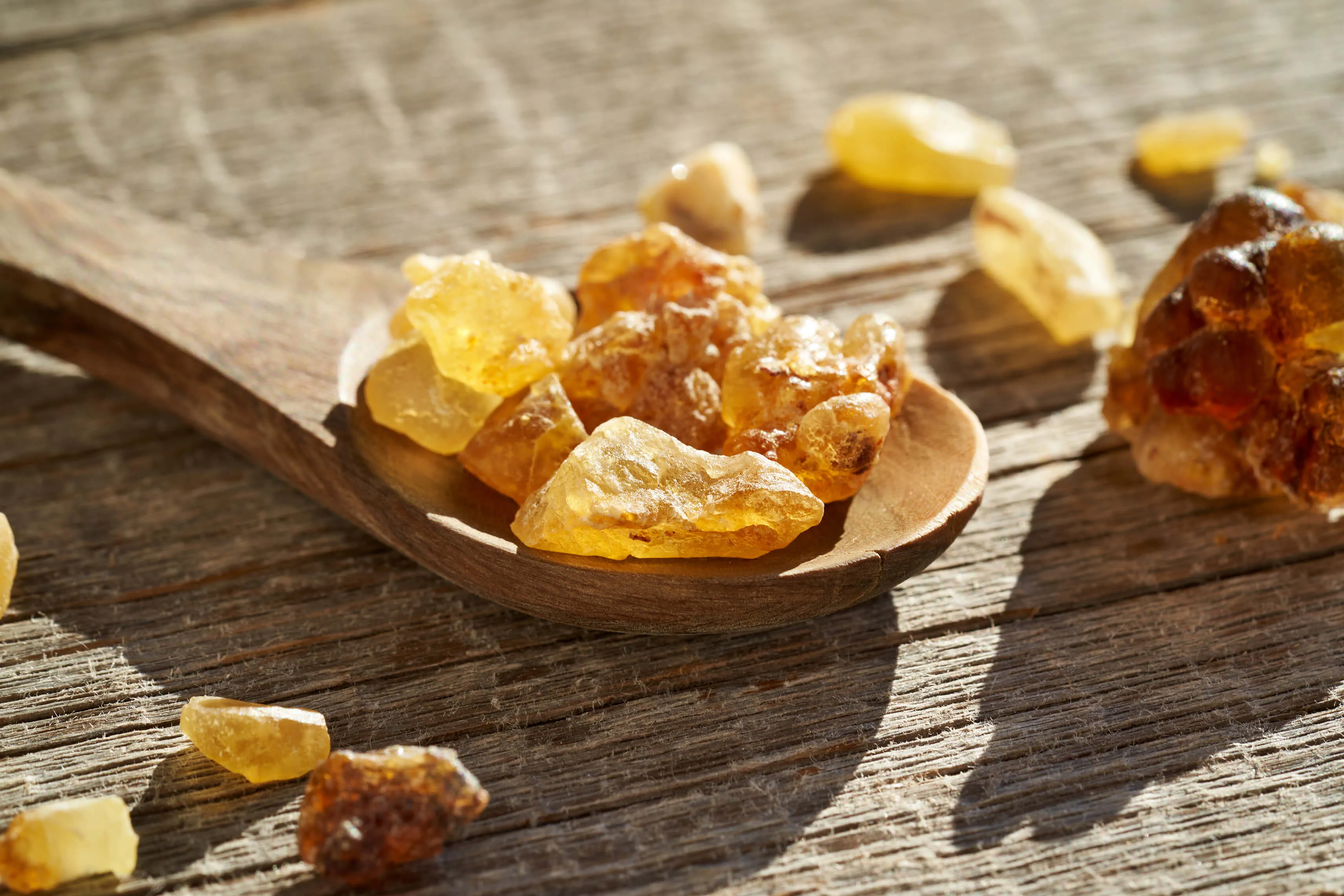 Boswellia